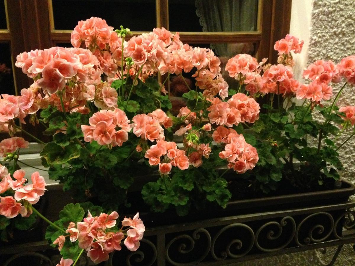 Tutzinger Hof Hotel ภายนอก รูปภาพ
